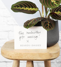 Load image into Gallery viewer, Prayer Plant &amp; Pot
